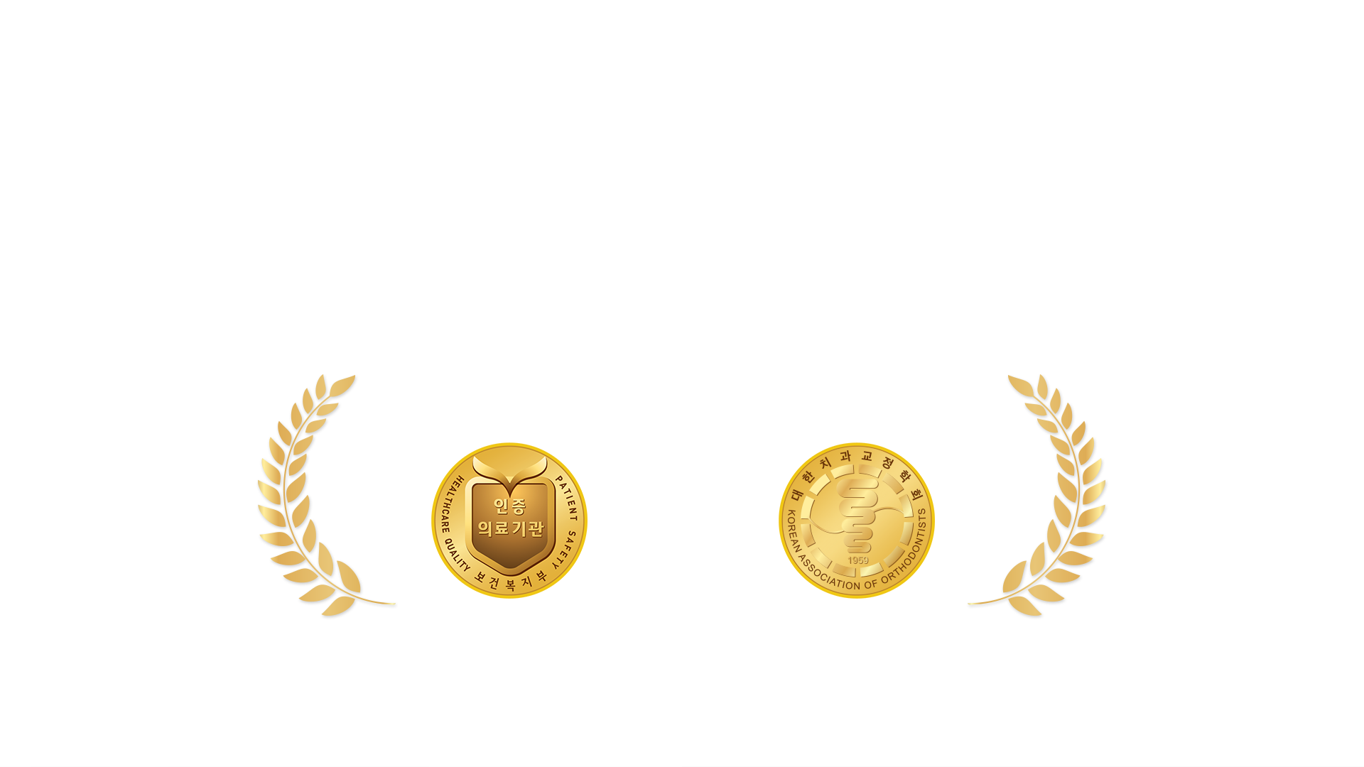 치아교정에 대한 선택과 집중